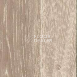 Линолеум Taralay Initial Comfort 0588 Wood фото 1 | FLOORDEALER